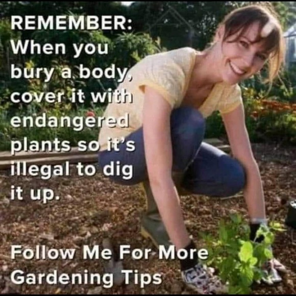 A collection of funny memes and whatnots - Picture 11 of 16